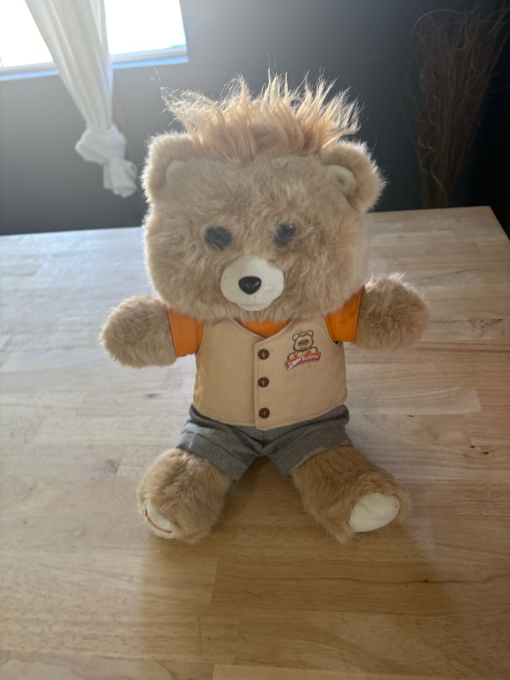 Teddy ruxpin bear